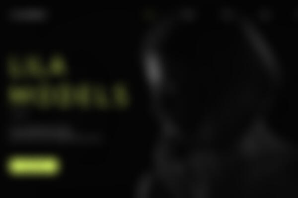 website case study example